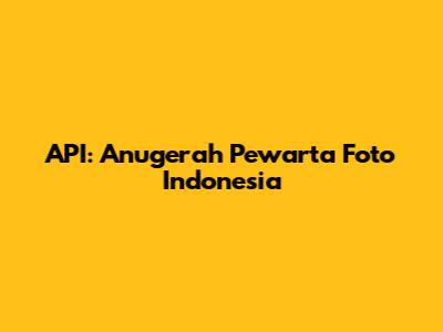 API: Anugerah Pewarta Foto Indonesia