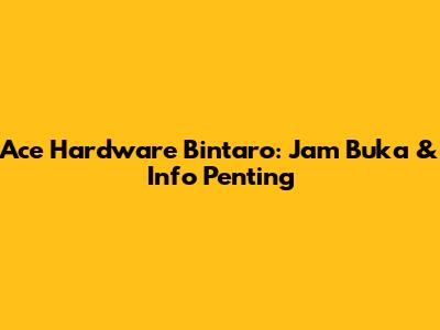 Ace Hardware Bintaro: Jam Buka & Info Penting