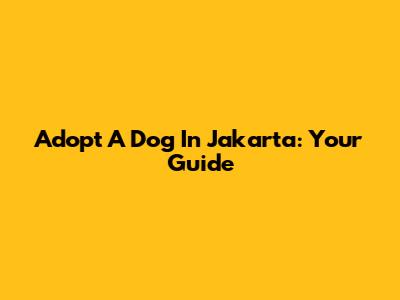 Adopt A Dog In Jakarta: Your Guide