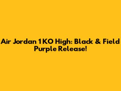 Air Jordan 1 KO High: Black & Field Purple Release!