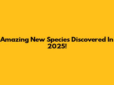 Amazing New Species Discovered In 2025!