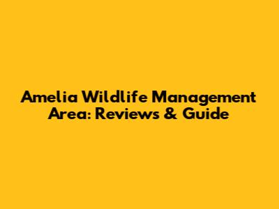 Amelia Wildlife Management Area: Reviews & Guide