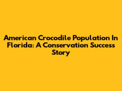 American Crocodile Population In Florida: A Conservation Success Story