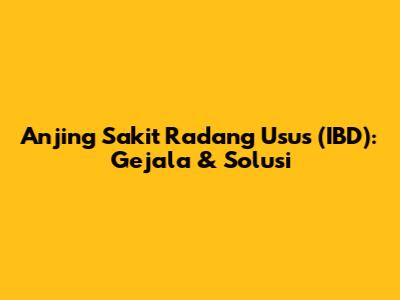 Anjing Sakit Radang Usus (IBD): Gejala & Solusi