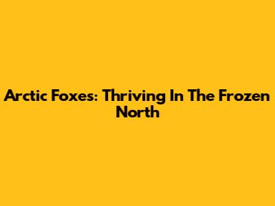Arctic Foxes: Thriving In The Frozen North