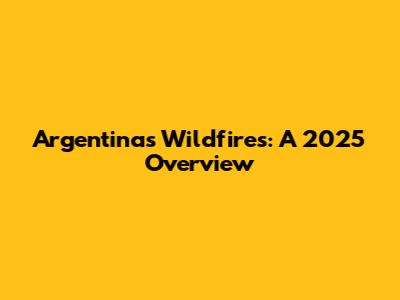 Argentina's Wildfires: A 2025 Overview