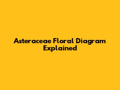 Asteraceae Floral Diagram Explained