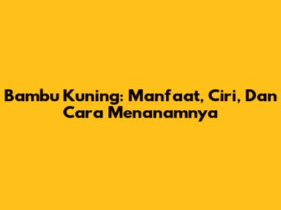 Bambu Kuning: Manfaat, Ciri, Dan Cara Menanamnya