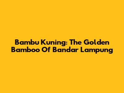 Bambu Kuning: The Golden Bamboo Of Bandar Lampung