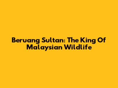 Beruang Sultan: The King Of Malaysian Wildlife