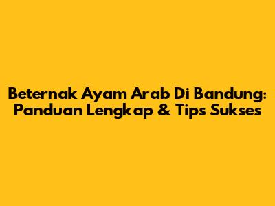 Beternak Ayam Arab Di Bandung: Panduan Lengkap & Tips Sukses