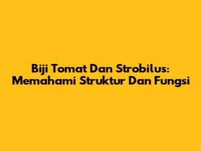 Biji Tomat Dan Strobilus: Memahami Struktur Dan Fungsi