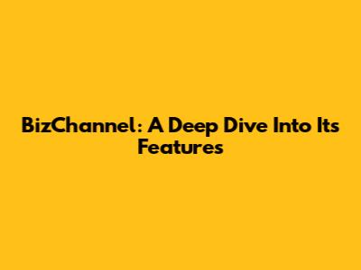 BizChannel: A Deep Dive Into Its Features