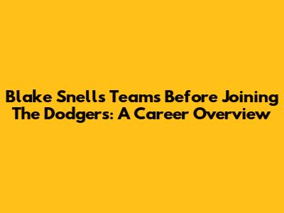 Blake Snell's Teams Before Joining The Dodgers: A Career Overview