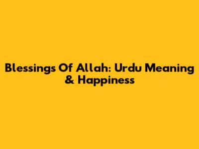 Blessings Of Allah: Urdu Meaning & Happiness