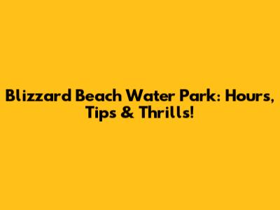 Blizzard Beach Water Park: Hours, Tips & Thrills!