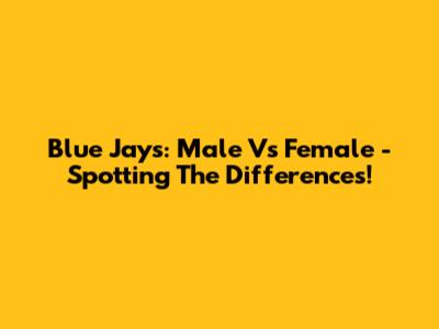 Blue Jays: Male Vs Female - Spotting The Differences!