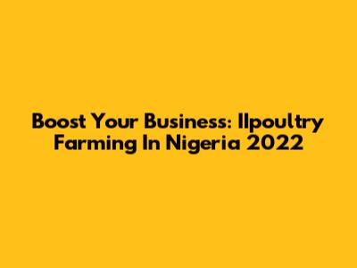 Boost Your Business: IIpoultry Farming In Nigeria 2022
