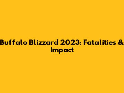 Buffalo Blizzard 2023: Fatalities & Impact