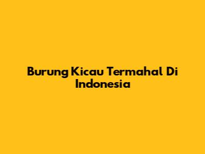 Burung Kicau Termahal Di Indonesia