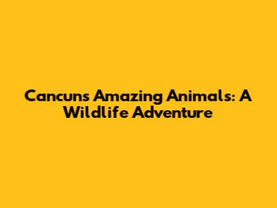 Cancun's Amazing Animals: A Wildlife Adventure