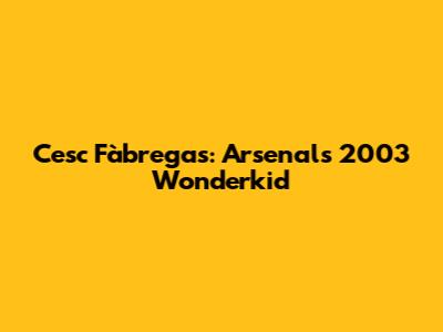 Cesc Fàbregas: Arsenal's 2003 Wonderkid