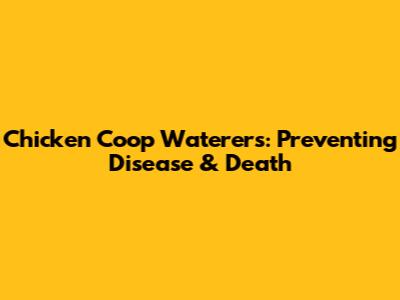 Chicken Coop Waterers: Preventing Disease & Death