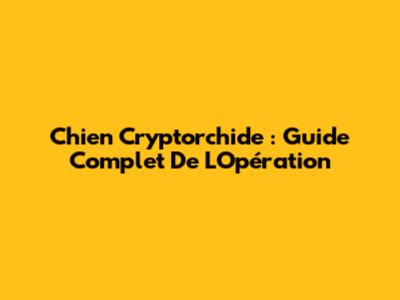 Chien Cryptorchide : Guide Complet De L'Opération