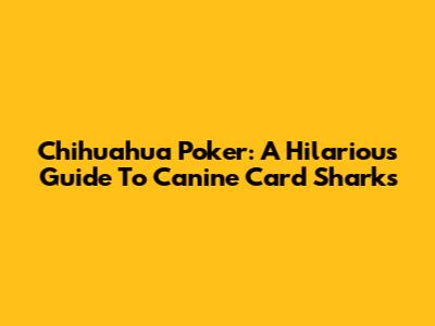 Chihuahua Poker: A Hilarious Guide To Canine Card Sharks