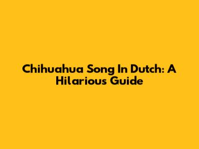Chihuahua Song In Dutch: A Hilarious Guide