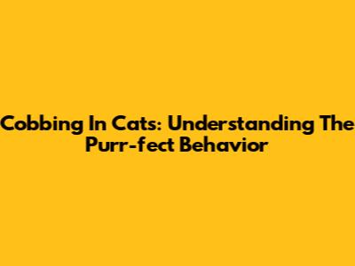 Cobbing In Cats: Understanding The Purr-fect Behavior