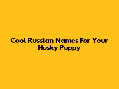 Cool Russian Names For Your Husky Puppy