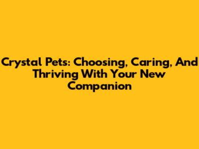 Crystal Pets: Choosing, Caring, And Thriving With Your New Companion