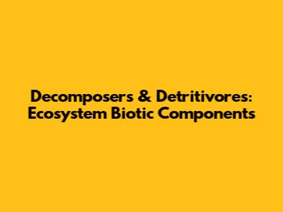 Decomposers & Detritivores: Ecosystem Biotic Components