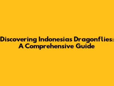 Discovering Indonesia's Dragonflies: A Comprehensive Guide