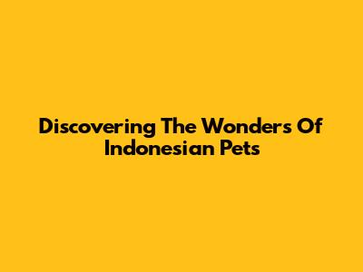Discovering The Wonders Of Indonesian Pets