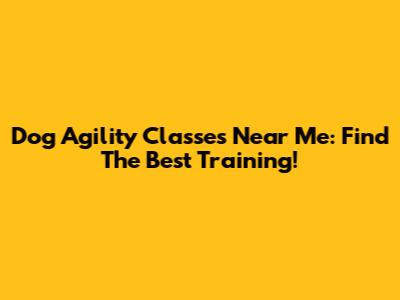 Dog Agility Classes Near Me: Find The Best Training!