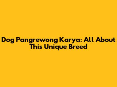 Dog Pangrewong Karya: All About This Unique Breed