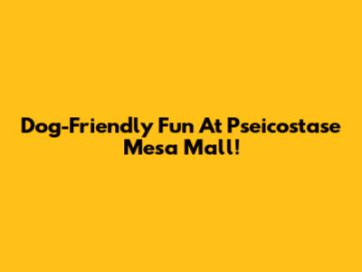 Dog-Friendly Fun At Pseicostase Mesa Mall!