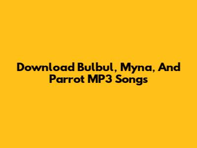Download Bulbul, Myna, And Parrot MP3 Songs