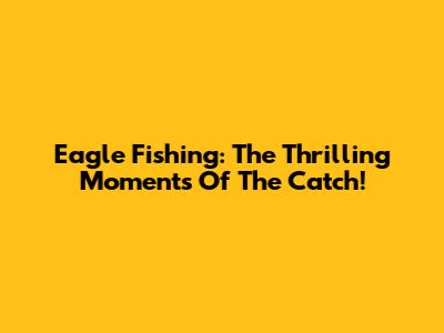 Eagle Fishing: The Thrilling Moments Of The Catch!