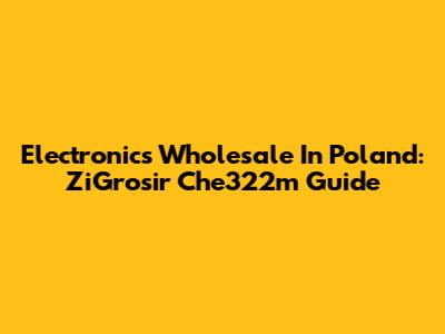 Electronics Wholesale In Poland: ZiGrosir Che322m Guide