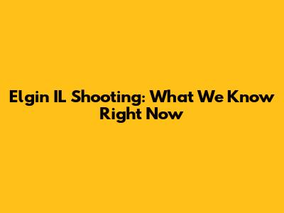 Elgin IL Shooting: What We Know Right Now