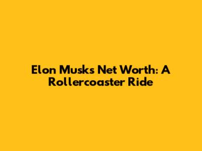 Elon Musk's Net Worth: A Rollercoaster Ride