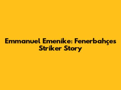 Emmanuel Emenike: Fenerbahçe's Striker Story