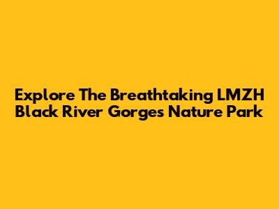 Explore The Breathtaking LMZH Black River Gorges Nature Park