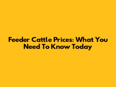 Feeder Cattle Prices: What You Need To Know Today