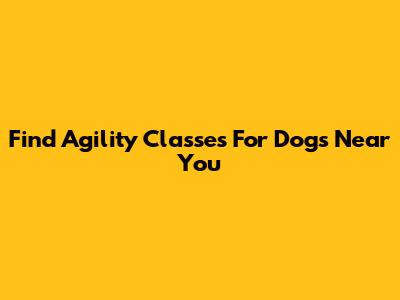 Find Agility Classes For Dogs Near You