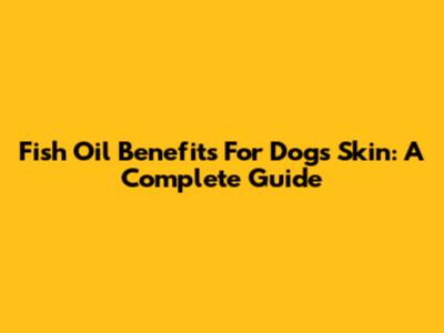 Fish Oil Benefits For Dog's Skin: A Complete Guide