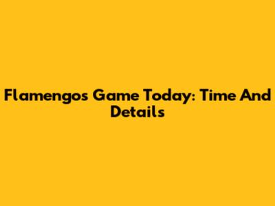 Flamengo's Game Today: Time And Details